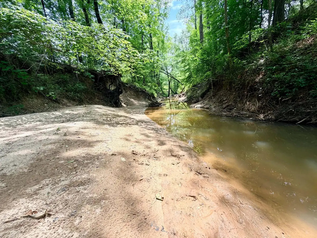 County Road 3080, Booneville, MS 38829 - #1