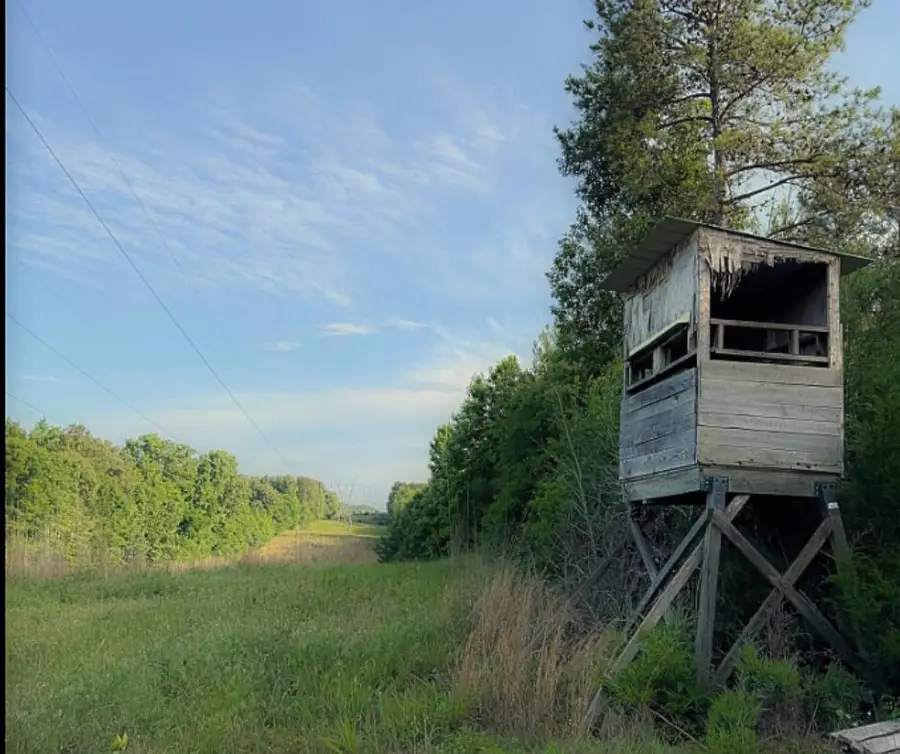 Harris Rd, Starkville, MS 39759 - #2