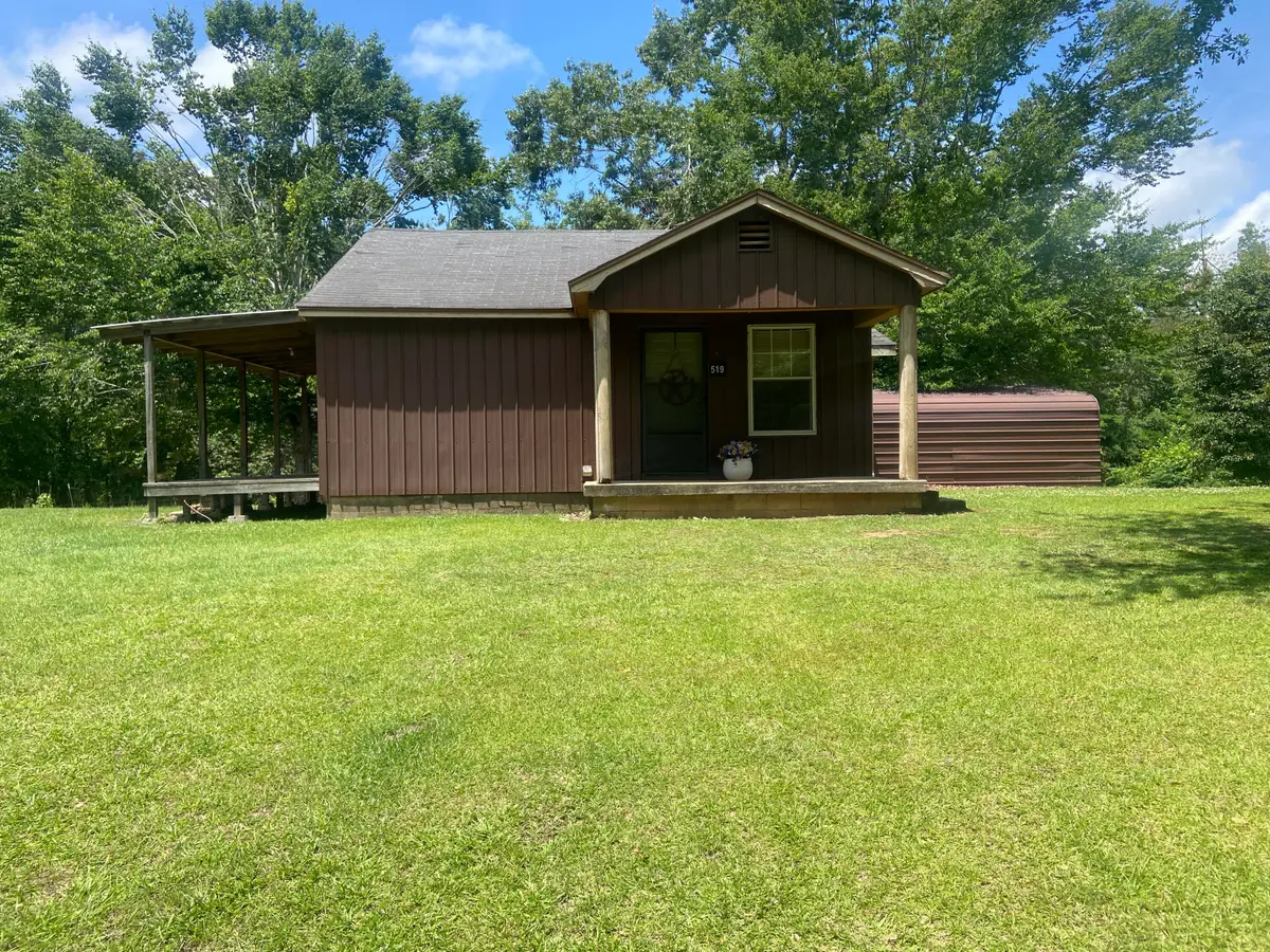 519 Cr 313, Burnsville, MS 38833 - #1