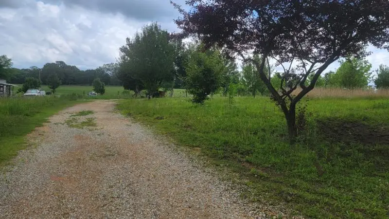 165 Hanna Dr., Shannon, MS 38868 - #2