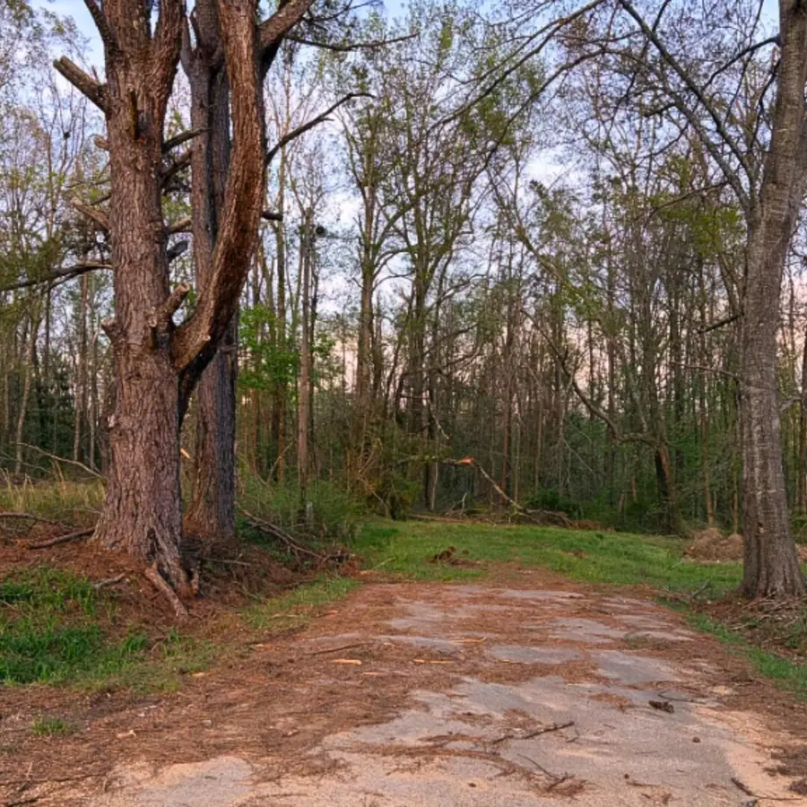Cole St., Booneville, MS 38829 - #2