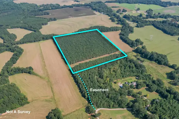 Sartain Road, Dennis, MS 38838