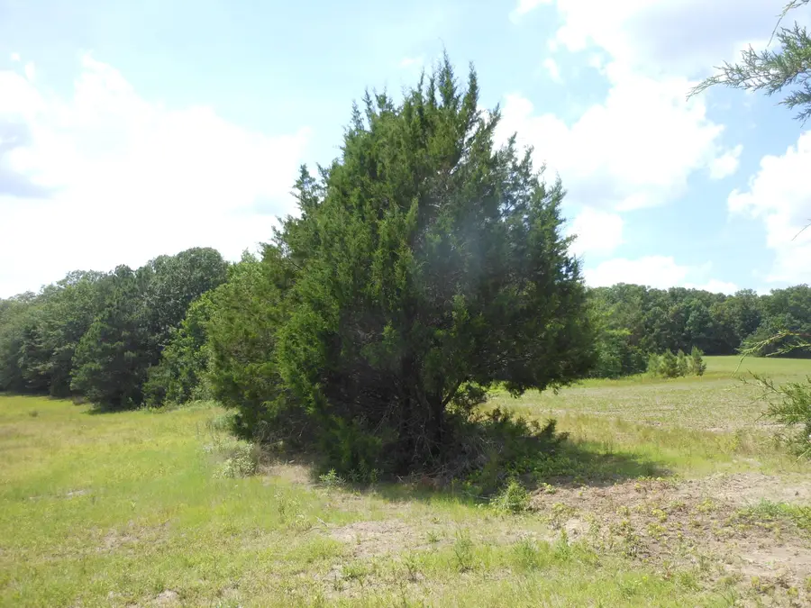 3220 Old Airport Road, Pontotoc, MS 38863 - #3