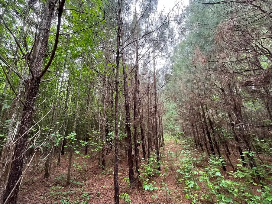 Ms-371, Baldwyn, MS 38824 - #2