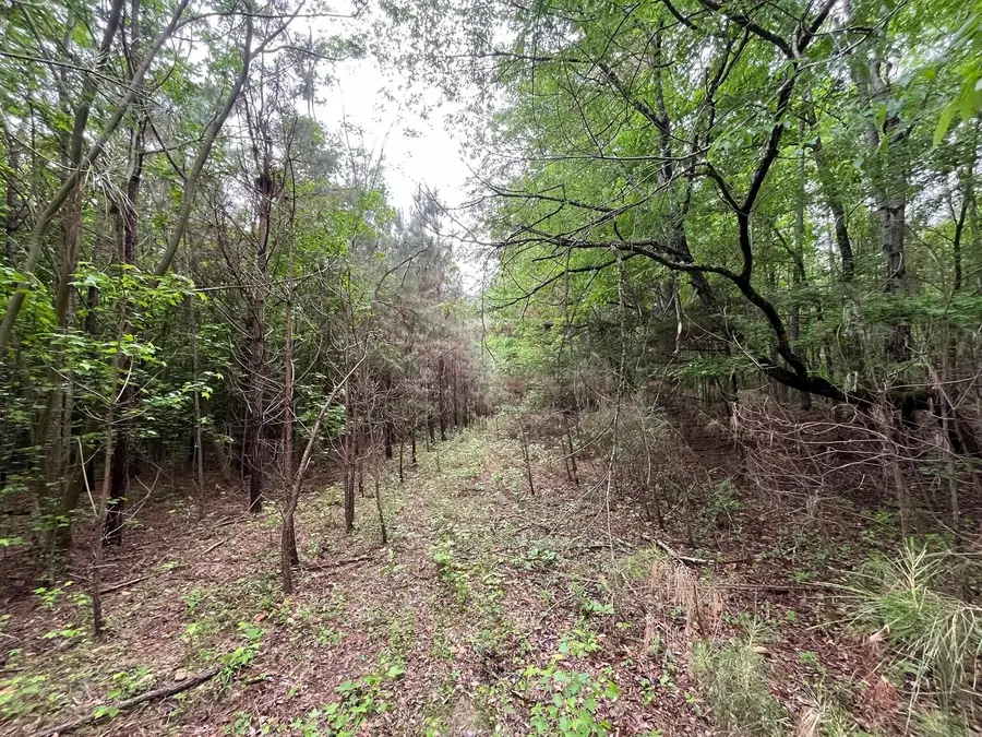 Ms-371, Baldwyn, MS 38824 - #3