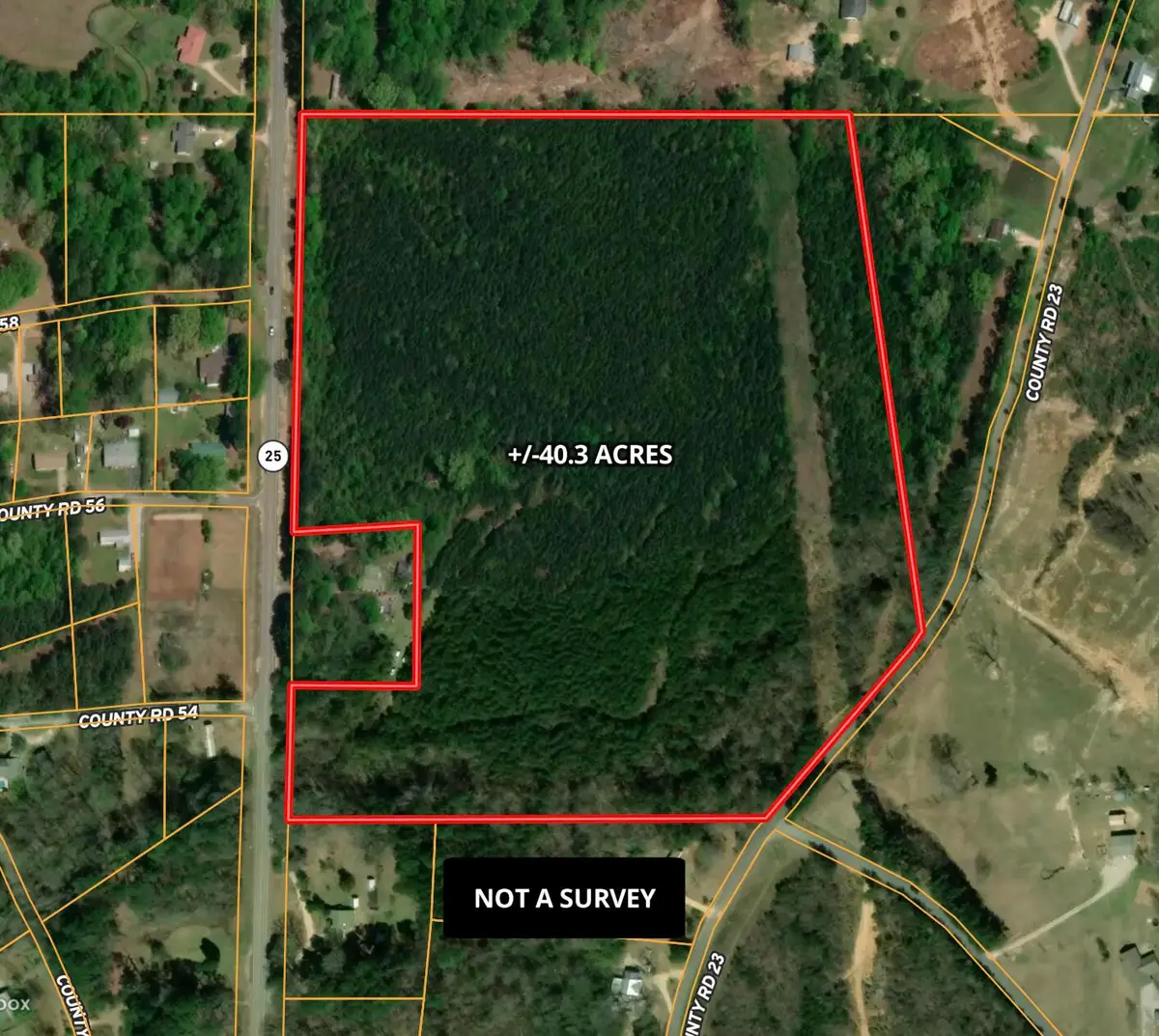 Hwy 25, Dennis, MS 38838 - #1