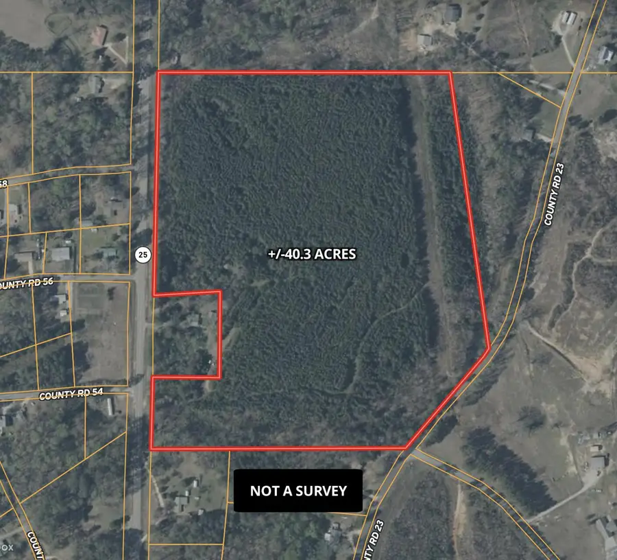 Hwy 25, Dennis, MS 38838 - #2