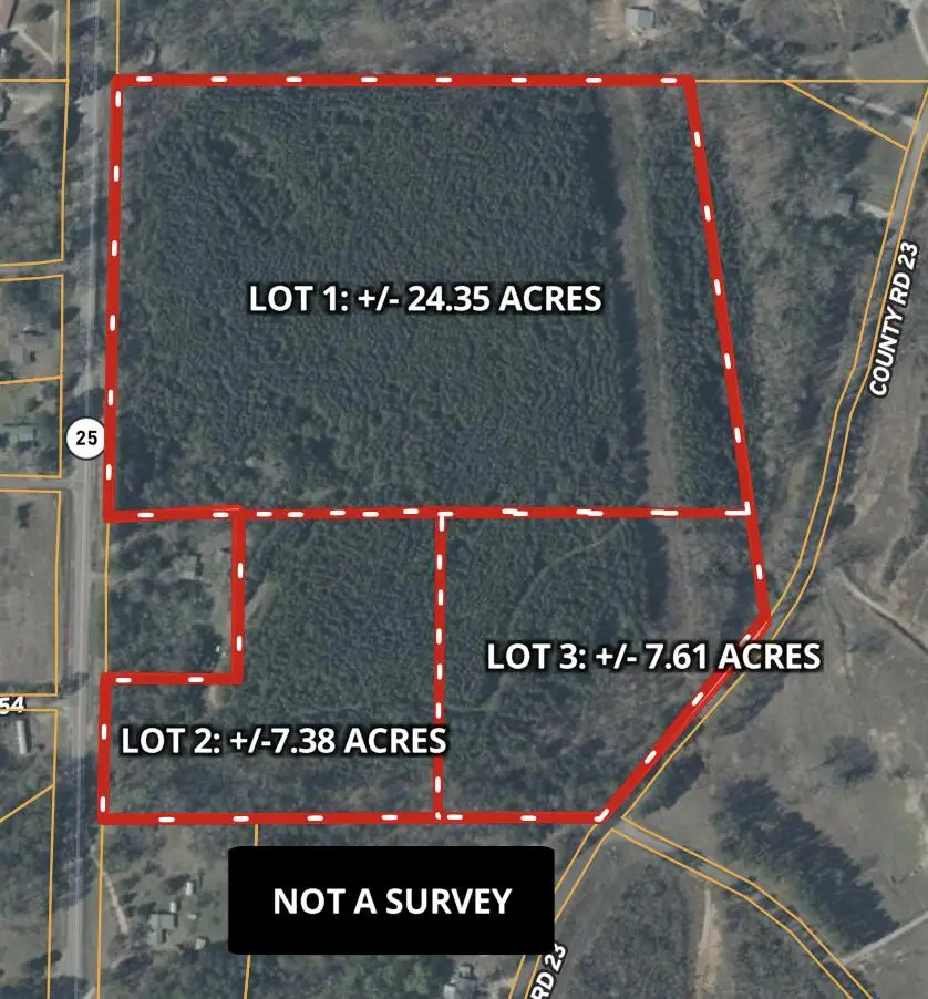 Lot #1 Hwy 25, Dennis, MS 38838 - #2
