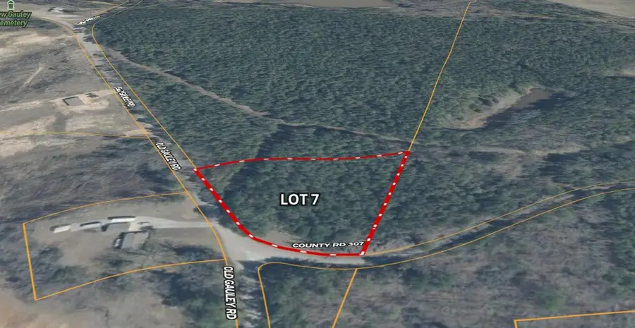 Lot 7 Old Gauley Road, Calhoun City, MS 38916 - #3