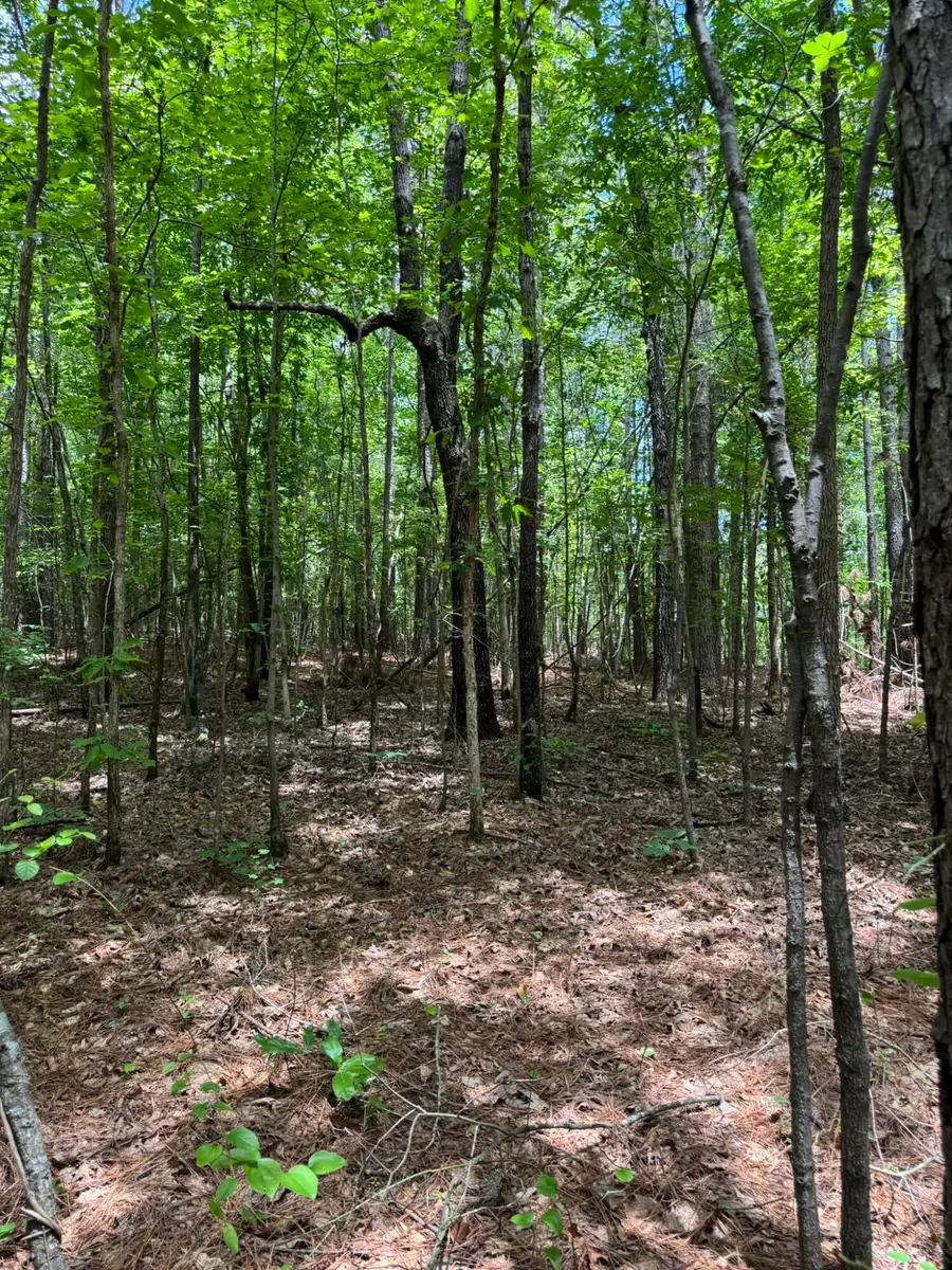Geeville Road, Dumas, MS 38625 - #3