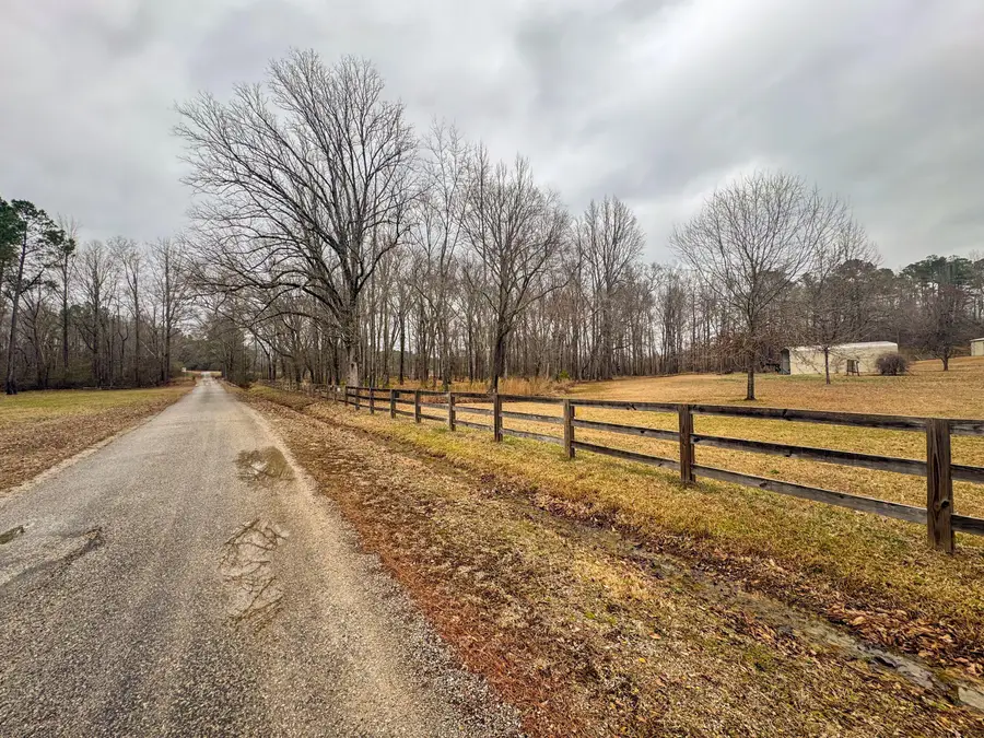 731 Wright Road, Tremont, MS 38876 - #3