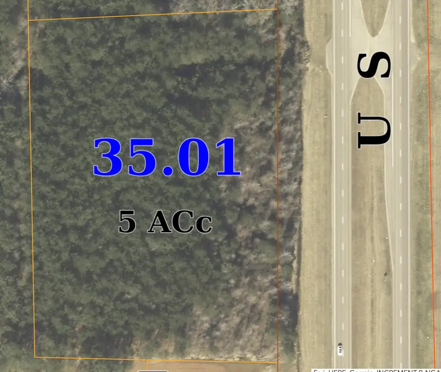Highway 45, Columbus, MS 39705 - #2