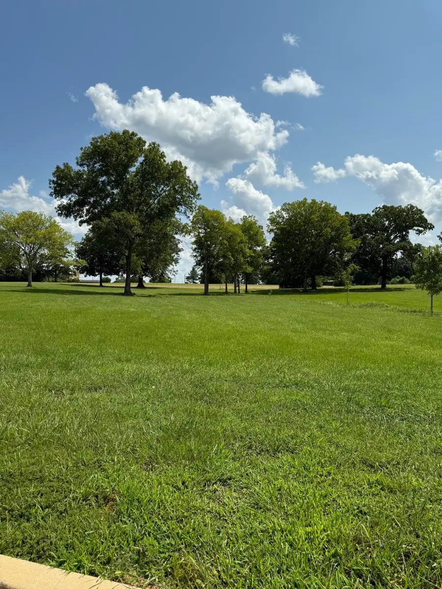 Longview Lake (lot 15) Dr., Tupelo, MS 38801 - #3