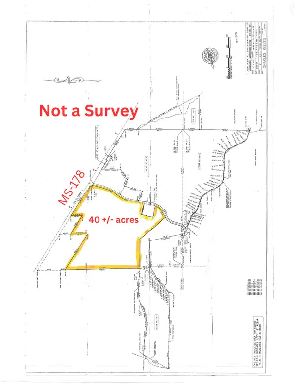 40 acres Mississippi 178, Fulton, MS 38843