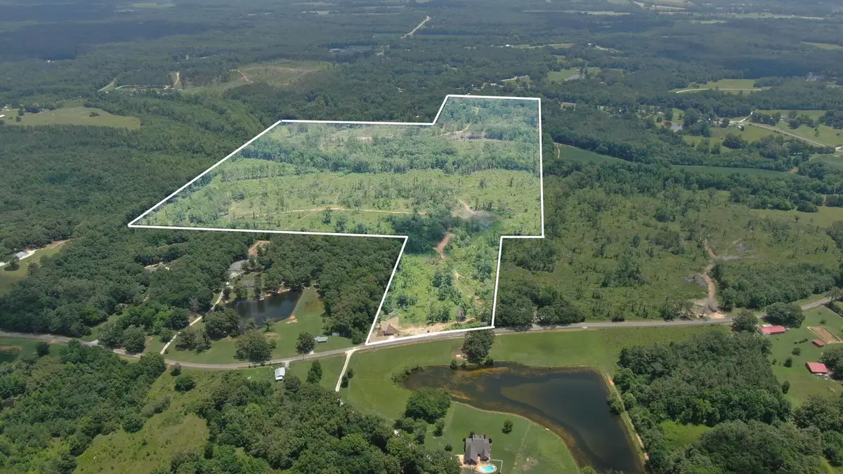 Co Rd 176, Guntown, MS 38849 - #1