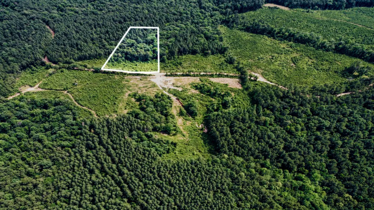 County Road 3115, Vossburg, MS 39366 - #1