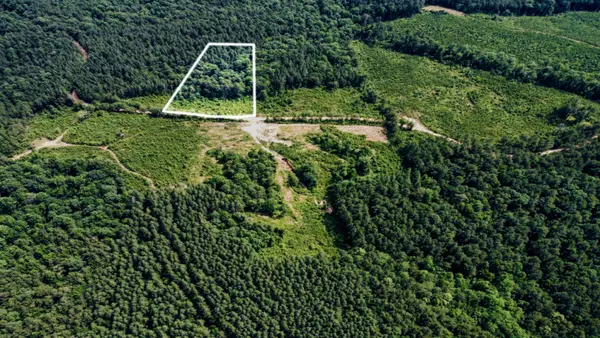 County Road 3115, Vossburg, MS 39366