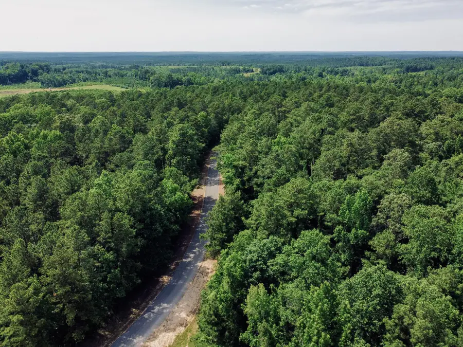 County Road 3115, Vossburg, MS 39366 - #3