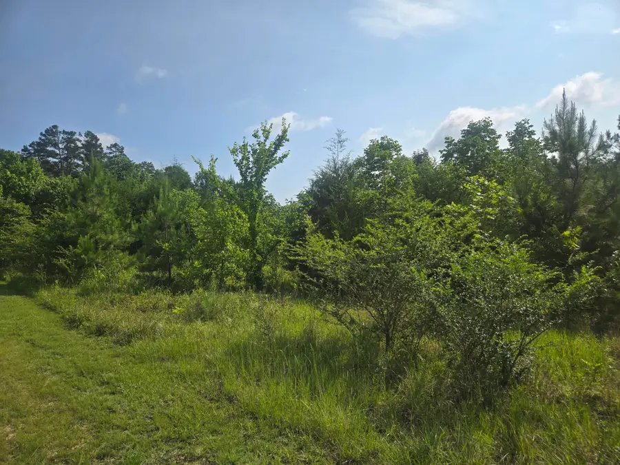3498 Veterans, Pontotoc, MS 38863 - #2