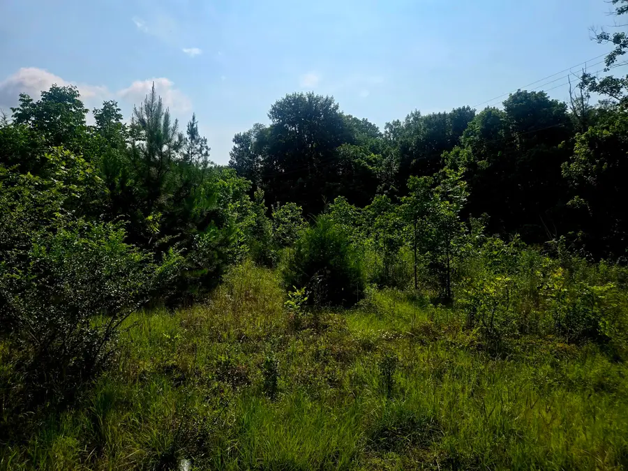 3498 Veterans, Pontotoc, MS 38863 - #3