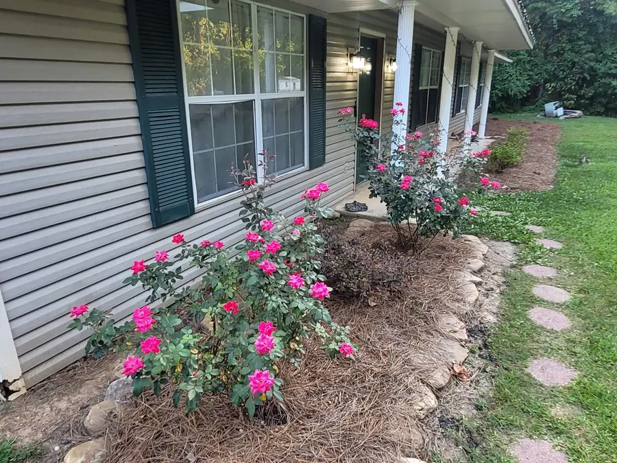 117 County Road 1119, Saltillo, MS 38866 - #2