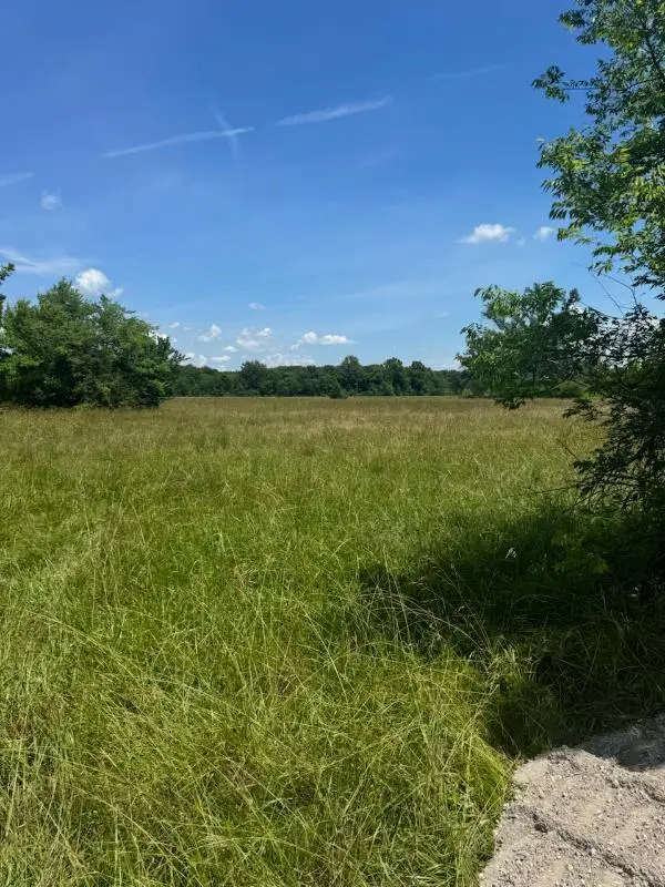 Road 684, Tupelo, MS 38801 - #3