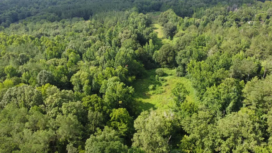 9425 Hwy 6 E (13.33 Ac), Pontotoc, MS 38863 - #3