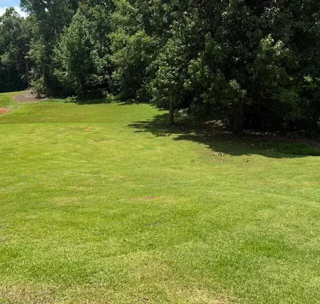 2881 Hwy 9 N, Pontotoc, MS 38863 - #2