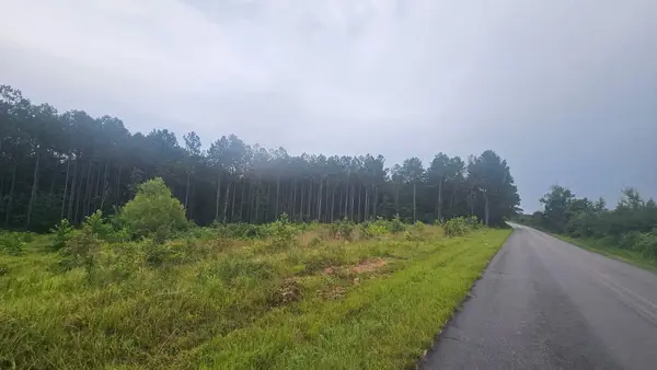 2010 County Road 961, Dennis, MS 38838