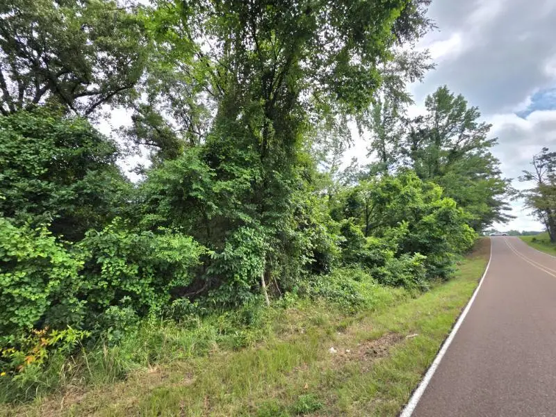 25.8 Ac Brewer & Harmon Rd., Batesville, MS 38606 - #2
