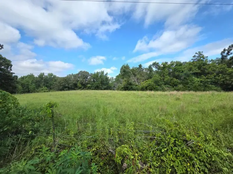 25.8 Ac Brewer & Harmon Rd., Batesville, MS 38606 - #3