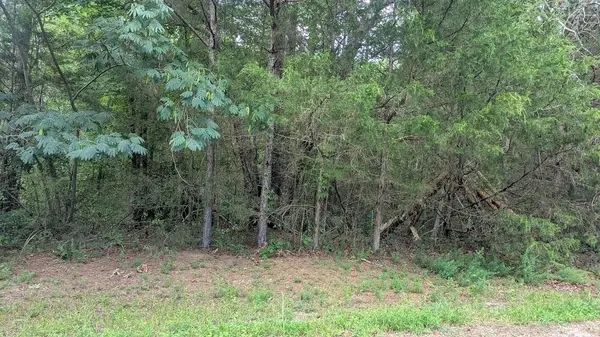 County Road 951, Guntown, MS 38849