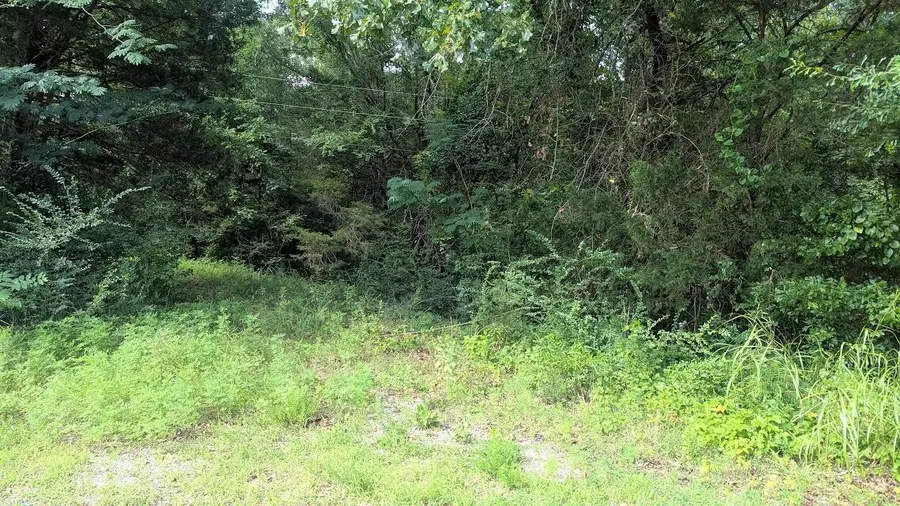 County Road 951, Guntown, MS 38849 - #2