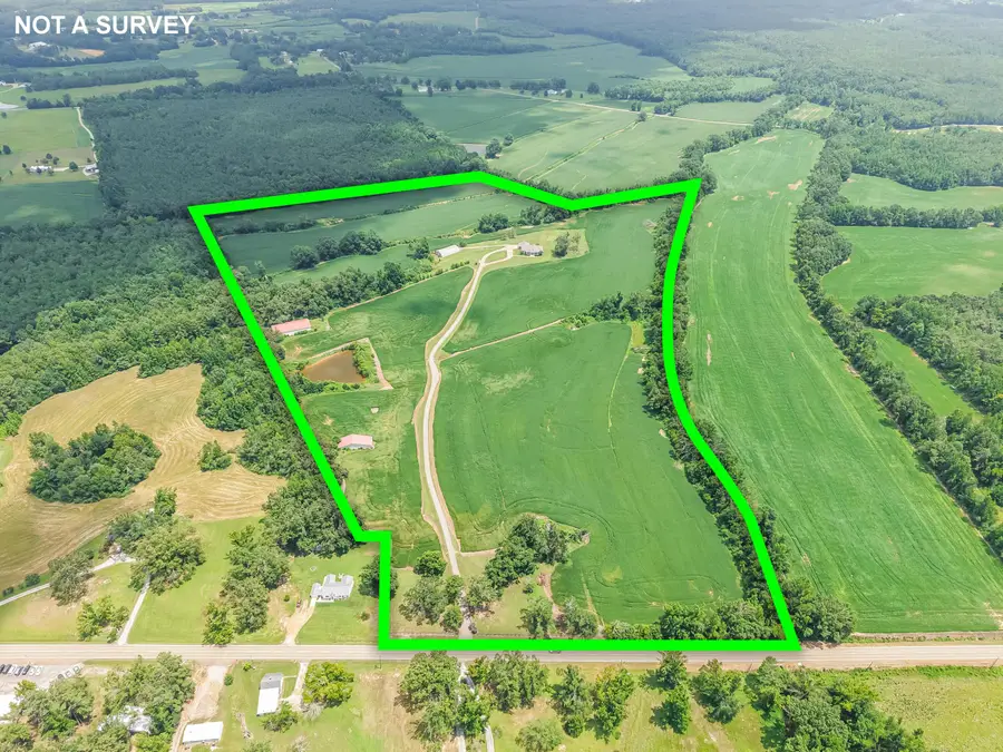 7856 Tennessee 22, Michie, TN 38357 - #2
