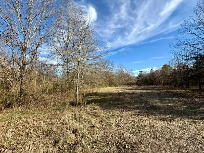 Cr 192, Prairie, MS 39756 - #3