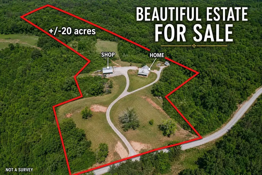 177 Horn Road, Golden, MS 38847 - #2
