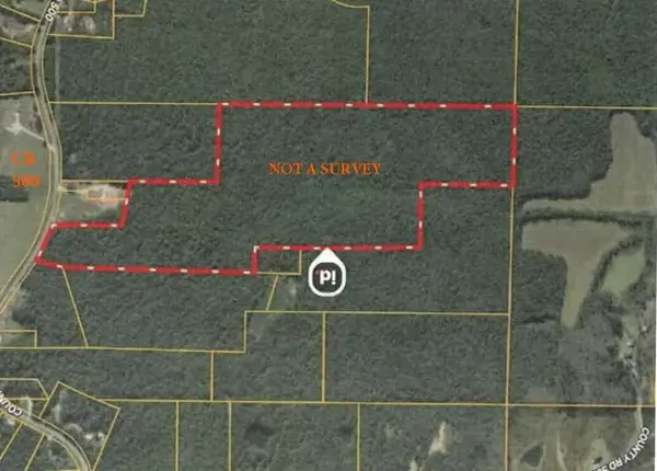 County Road 500, Rienzi, MS 38865