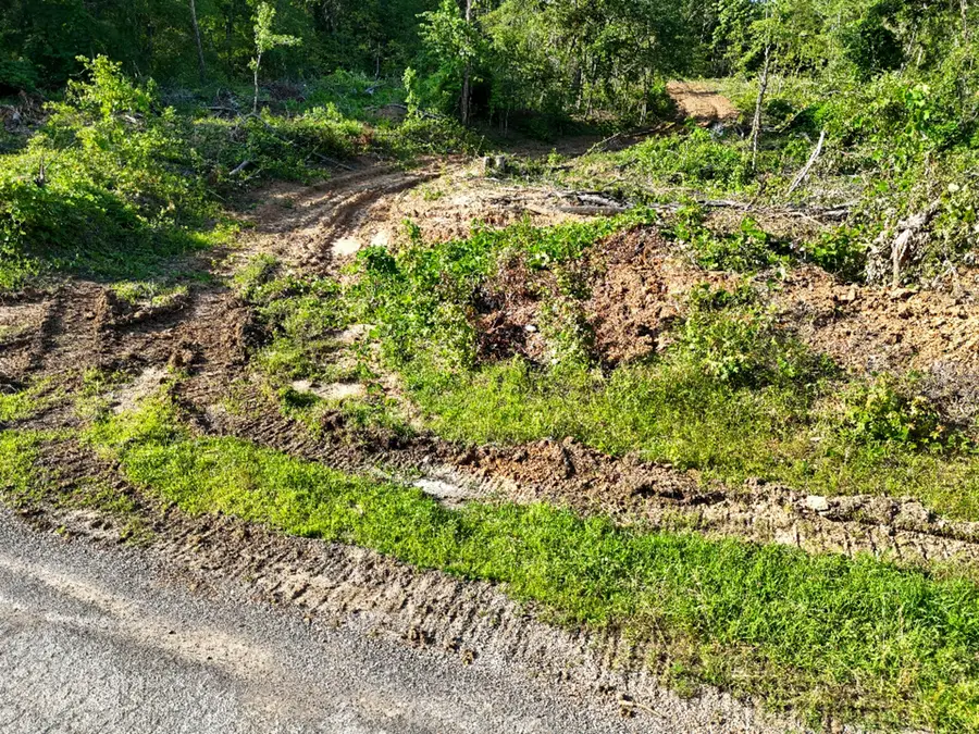 Lot 3 Hohenlinden Road, Mantee, MS 39751 - #2