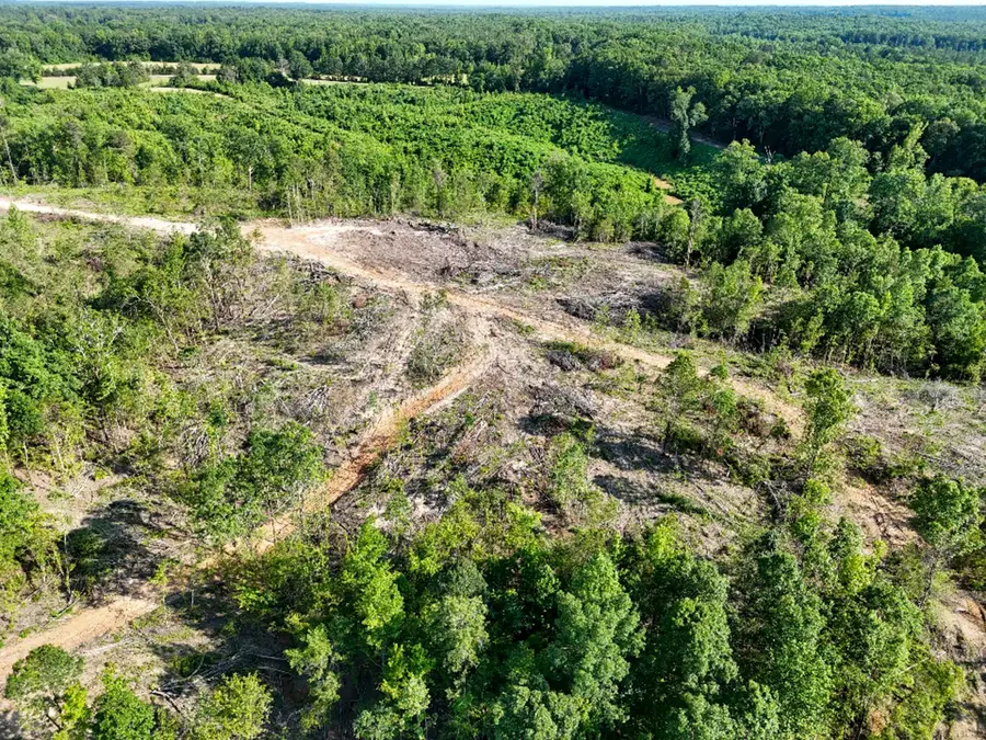 Lot 5 Hohenlinden Road, Mantee, MS 39751 - #3
