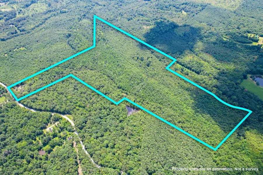 Co Rd 183, Blue Springs, MS 38828 - #2