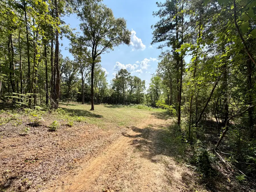 Co Rd 183, Blue Springs, MS 38828 - #3