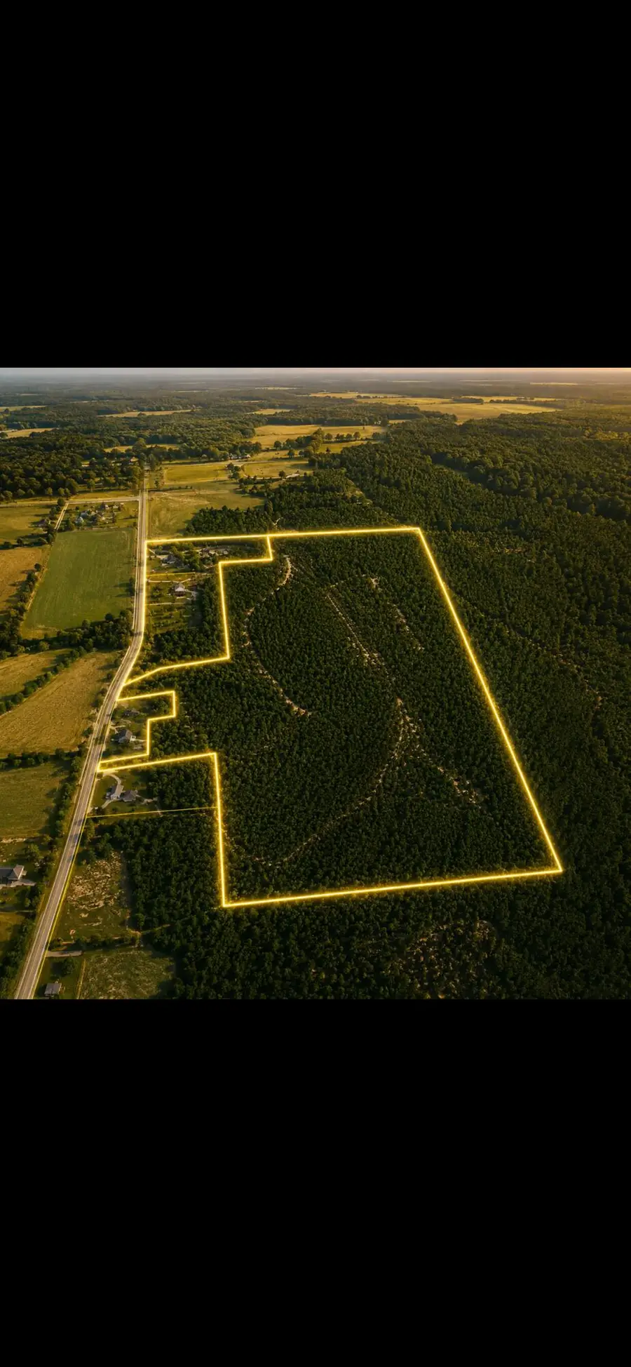 County Road 1463, Nettleton, MS 38858 - #2