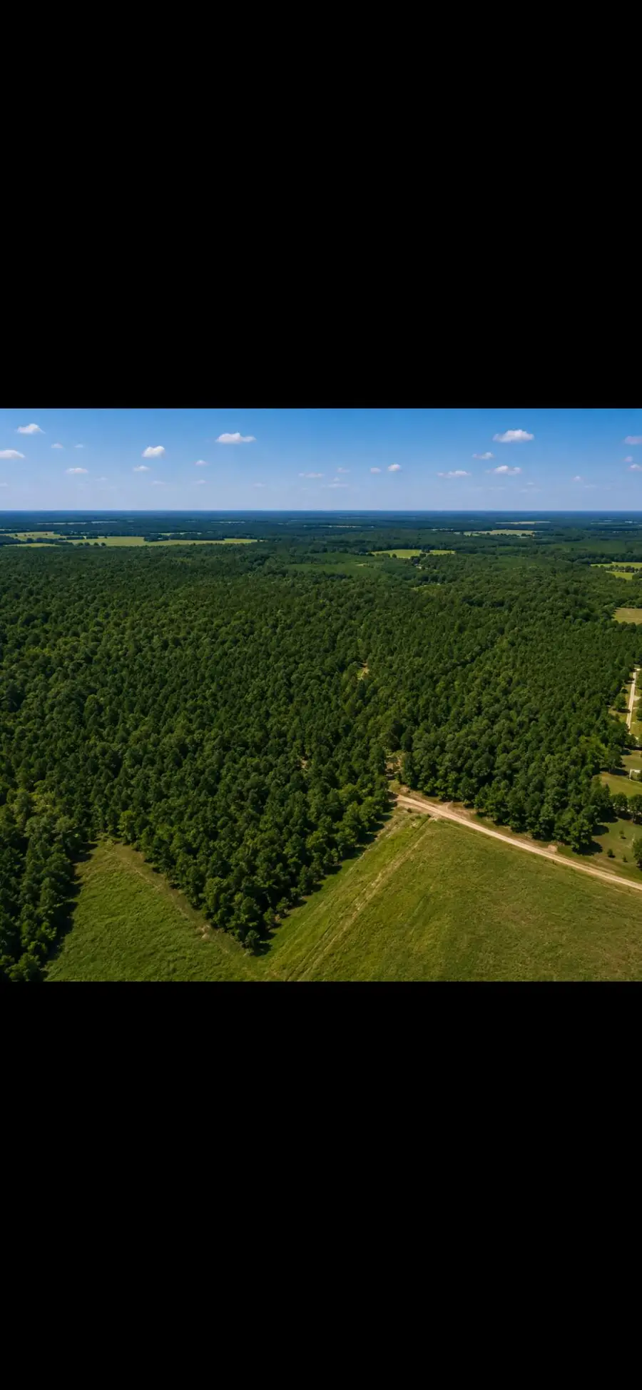 County Road 1463, Nettleton, MS 38858 - #3