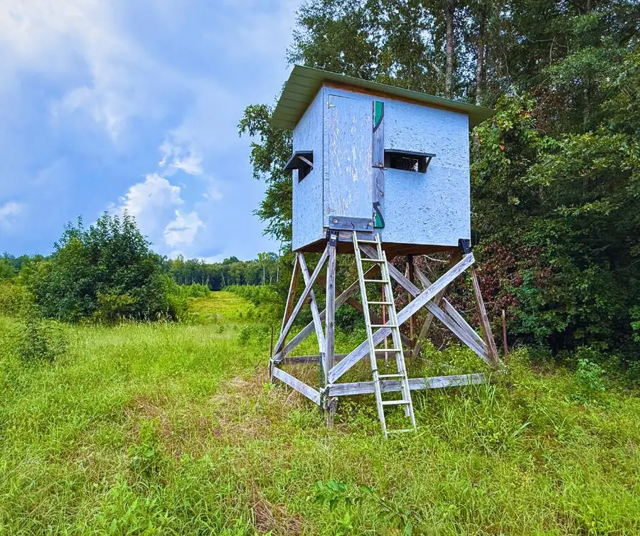 Guy Parham Ln., Amory, MS 38821 - #3