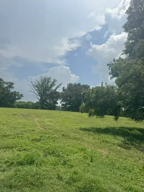 County Road 684, Tupelo, MS 38801 - #2