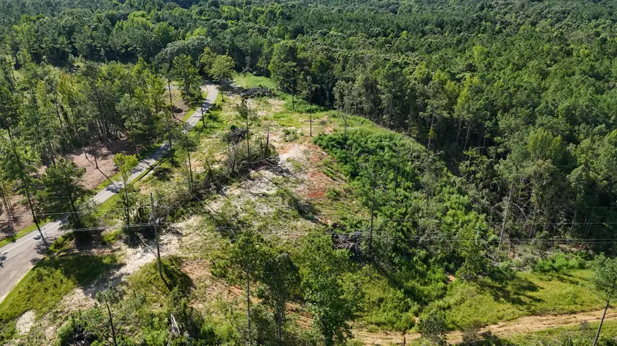 821 Southeast St. (lot 3), Baldwyn, MS 38824 - #3