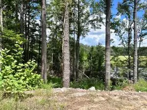County Road 1050, Tupelo, MS 38804 - #2