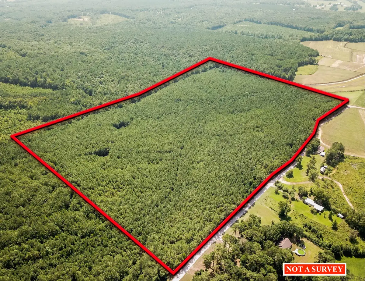 County Road 5251, Booneville, MS 38829 - #1