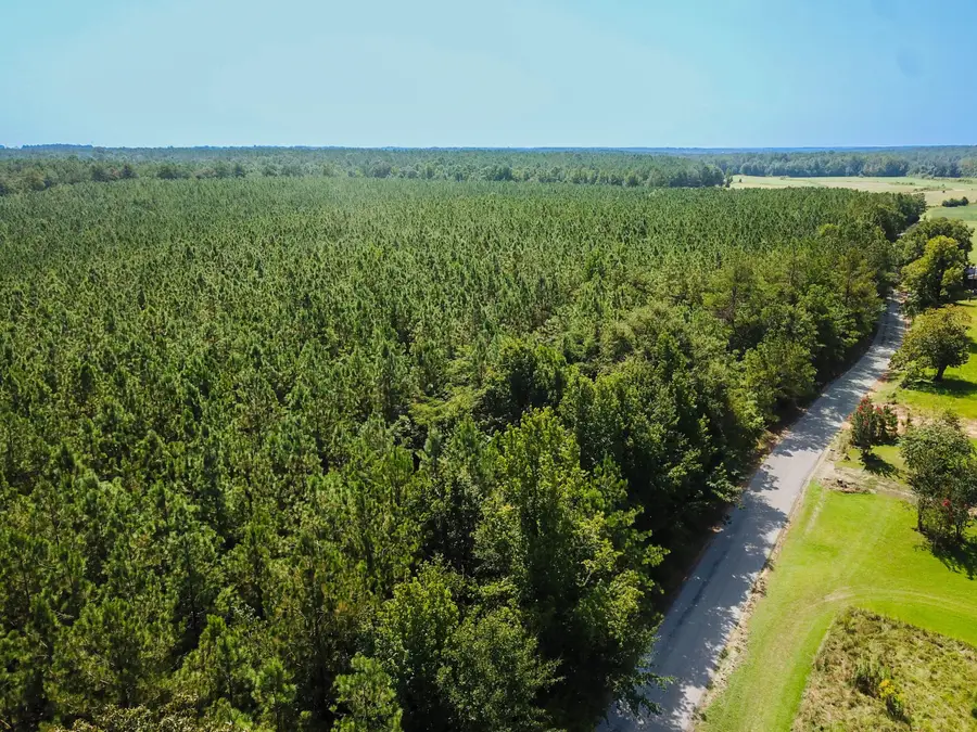 County Road 5251, Booneville, MS 38829 - #2