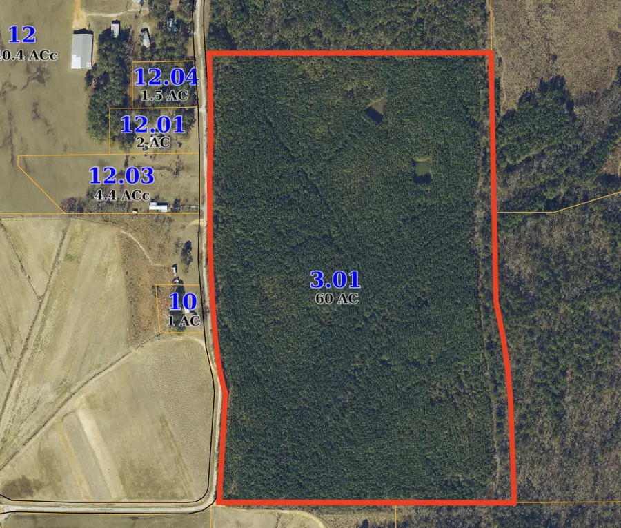 County Road 5251, Booneville, MS 38829 - #3